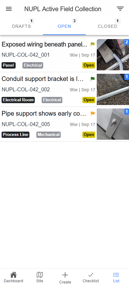 Oculi open-items list showing the same NUPL field record